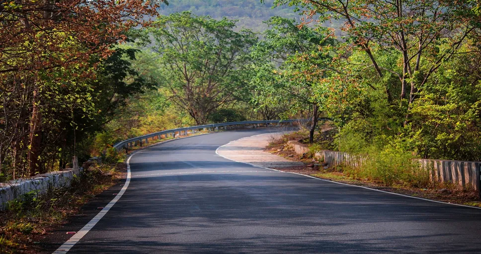 430 angel number - nature, tree, road