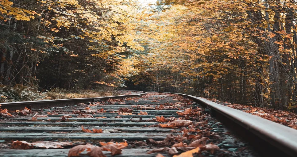 angel number 201 - abandoned, railway, fall