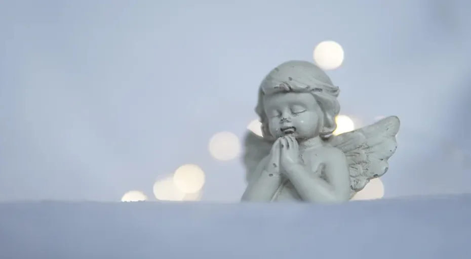 1135 angel number - christmas, angel, figure, happy holidays, lights, winter, snow, festive, merry christmas, pray, white background, monochrome, art, bokeh, nature, gratitude, silent night, holy night, christmas card, fir tree, shine, happy holiday, angel, angel, angel, angel, angel, pray, pray, gratitude